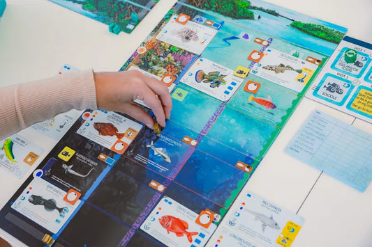 Finspan + Upgrade Pack (español)