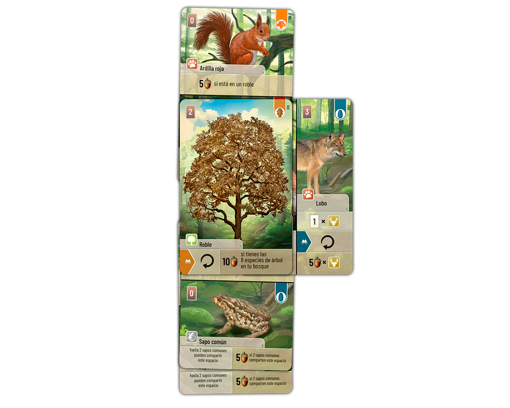 Forest Shuffle (español)