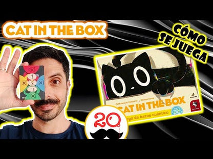 Cat in the Box (español)